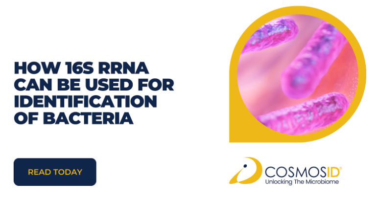 How 16S rRNA Can Be Used For Identification of Bacteria